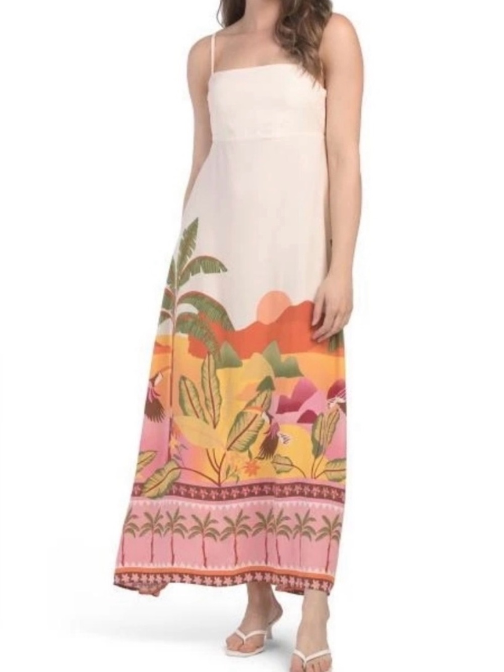 Anthropologie Paper Heart Palm Tropical Resort Toucan Bird Sunset Maxi Dress XS